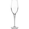 Luigi Bormioli™ Vivendo Champagne 7 oz. Glassware