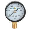 Bur-Cam 1/4 Inch Pressure Gauge