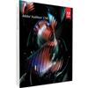 ADOBE SYSTEMS DVD SET AUDITION CS6 V5 WIN 1U