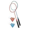 HALEX 2 Player Classic Badminton Set