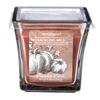 TIME AND AGAIN 11.85oz Pumpkin Patch Jar Candle