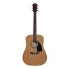 Fender Acoustic Guitar Pack (FA-100) - Natural