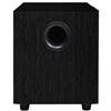 Precision Acoustics 10" 100-Watt Subwoofer (CW10)