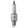 NGK Spring/Summer Spark Plug, 2-pk