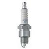 NGK Marine Spark Plug, 1-pk