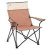 Coleman Steel Sling Chair