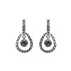 Napier® Teardrop crystal earrings with center drop stone