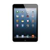 Apple iPad mini 16GB With Wi-Fi + Cellular - Black & Slate