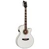 LTD Acoustic/ Electric Guitar (AC-10E PW) - White