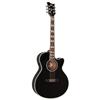 ESP LTD Acoustic-Electric Guitar (AC-10E) - Black