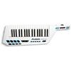 Alesis Vortex - USB/MIDI Keytar Controller with Accelerometer 
- Shoulder-worn Performanc...