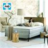 Sealy® Alanson Mattress Set - Twin