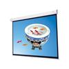 Daiwa 106-in. Pull-down Projection Screen