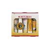 Burt's Bees Essential Kit (00916-04)