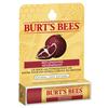 Burt's Bees Replenishing and Hydrating Lip Balm with Pomegranate Oil (16400-01)