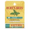 Burt's Bees Soothing Lip Balm (01933-01)