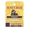 Burt's Bees Rejuvenating Lip Balm (00771-01) - Açai Berry