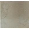 DALTILE OF CANADA 13 Inch x 13 Inch Addison Place Gallery Beige