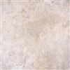 TrafficMaster TrafficMaster Ceramica 12 in. x 12 in. Exodus Resilient Vinyl Tile Flooring (30 sq...