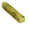 ProGuard 2x2x8 Treated Wood