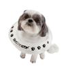 BOO BOO LOON Small Protective Inflatable Dog Collar