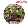 MARK'S CHOICE 19 Pack Pre-planted Container Mat Flower Bulbs