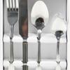 16 piece Stainless Steel Flatware Set (Marianne)