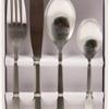 16 piece Stainless Steel Flatware Set (Catalina Satin)