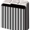 Globe-Weis ® File Holder & Files, 12X12, Black / White