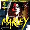Bob Marley & The Wailers - Marley Soundtrack (2CD)
