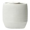 Toothbrush Holder Ribbed - Bone