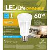 12 Watt LED A Type, 60W Equivalent