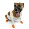 PawZ Dog Boots (X-Small)