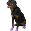 PawZ Dog Boots (Large)