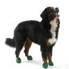 PawZ Dog Boots (X-Large)