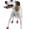 PawZ Dog Boots (Small)