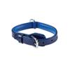 Blue Leather Collar