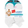 Hanes Dry Womens cushion Heel Shield sock – 6 pairs