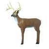 Delta Decoy's McKenzie Lil' Mack Deer Target