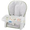 Newborn-to-Toddler Reclining Feeding Seat