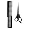 Wahl Scissors & Comb Set