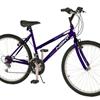 24" Next Girls Challenger Bike