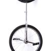 Raleigh Unicycle 20"