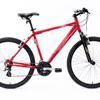 Raleigh mountain bike Tomahawk Mens