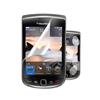 Hip Street Anti-Fingerprint Screen Protector- Blackberry Torch