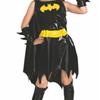 Batgirl Costume