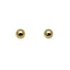 10 K Gold Earrings