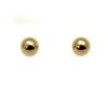 14 K Gold Earrings