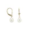 10kt Gold and Pearl Earrings