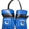 NHL Mini Gloves Vancouver Canucks